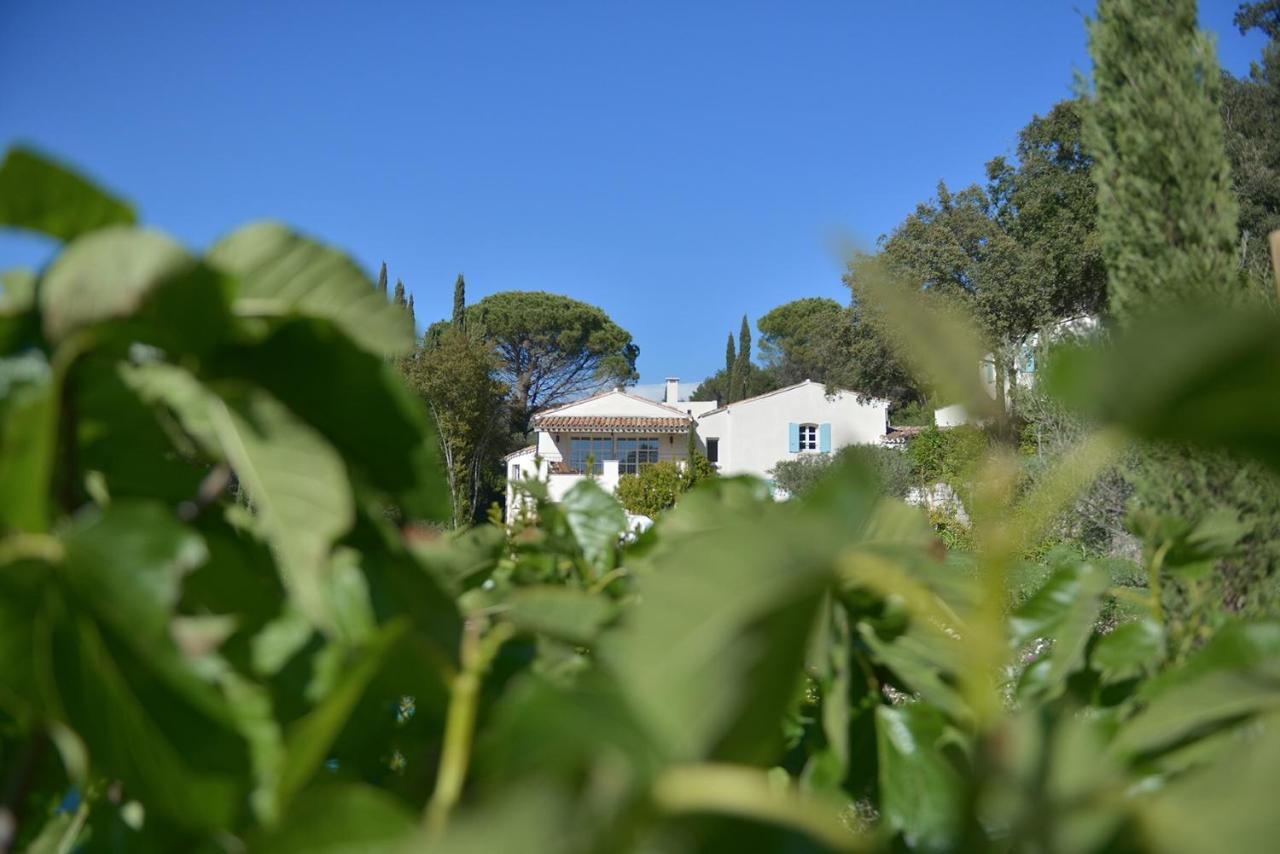 Mas Du Perthus Cassis Exterior foto
